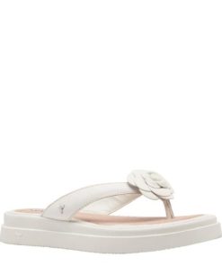 Thepostroad.shop7c17220ea8 2